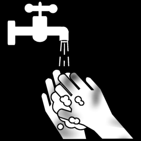 wash your hands